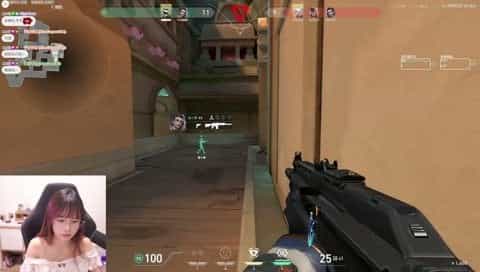 valorant cover