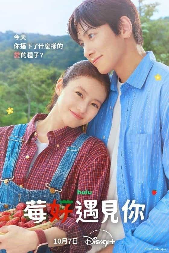 movie cover