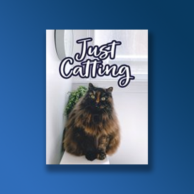 funny cover